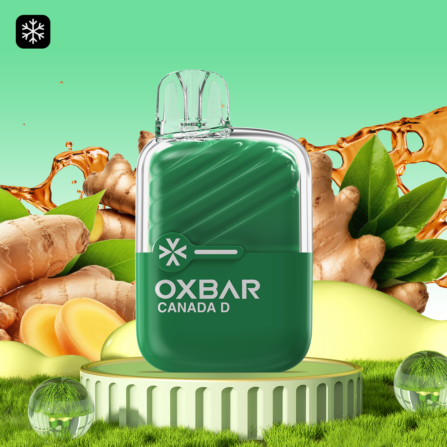 OXBAR Mini 1200 - Rocky Vapour (2ML) (ONTARIO)